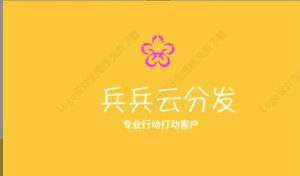 兵兵支付